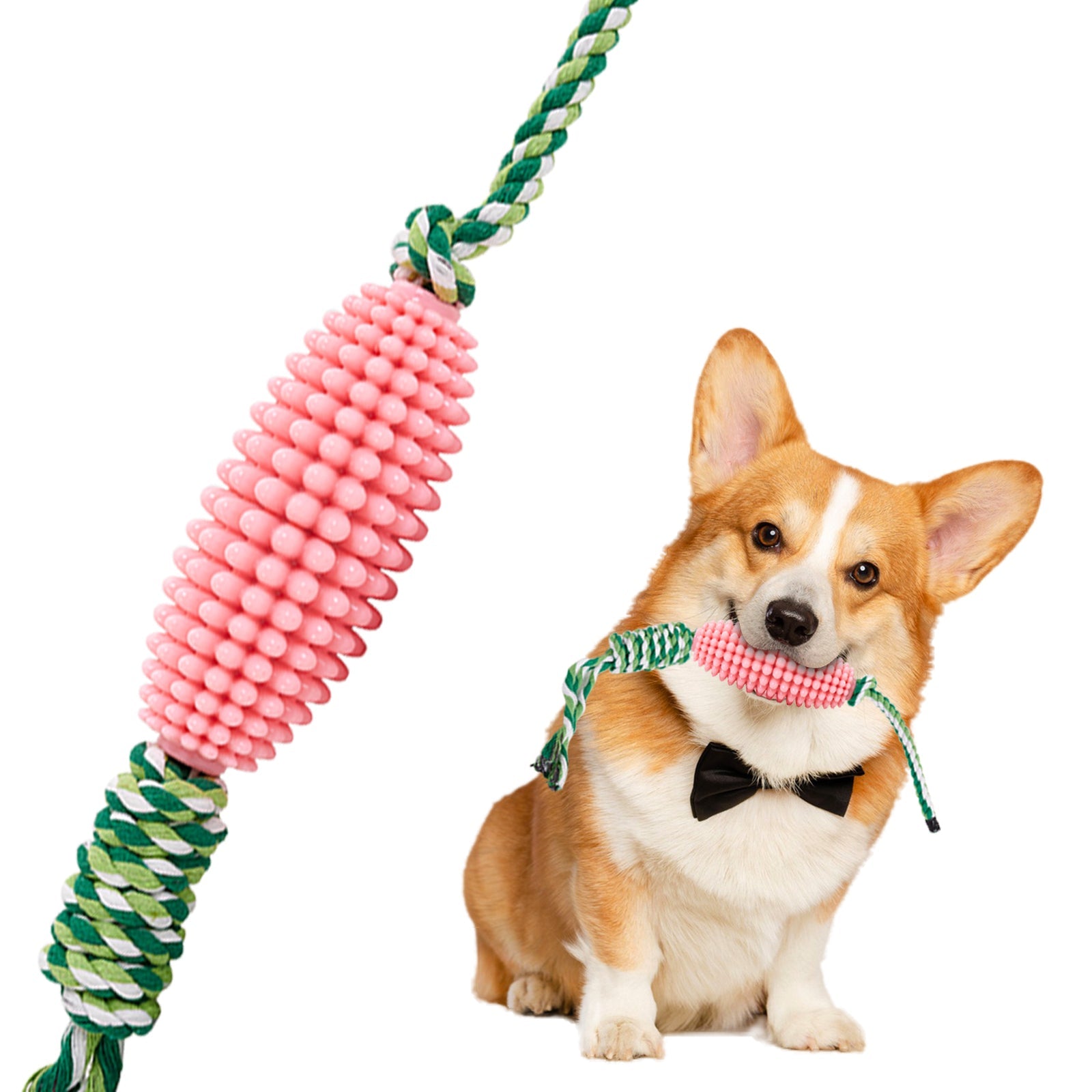 Transform Your Dog's Dental Health with the Interactive Pet Toothbrush Corn Chew Toy